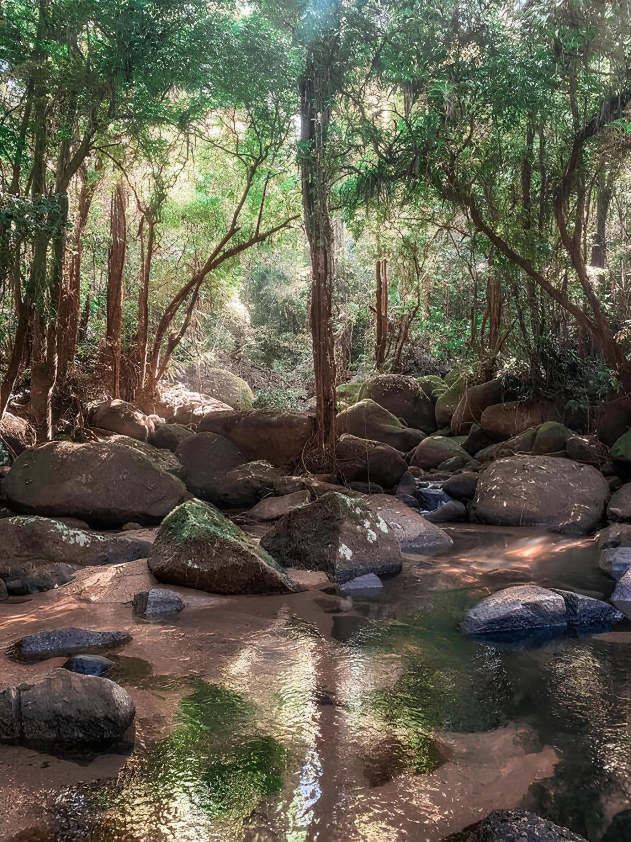 A vista mais linda de Ubatuba - Acomoda 20 pessoas