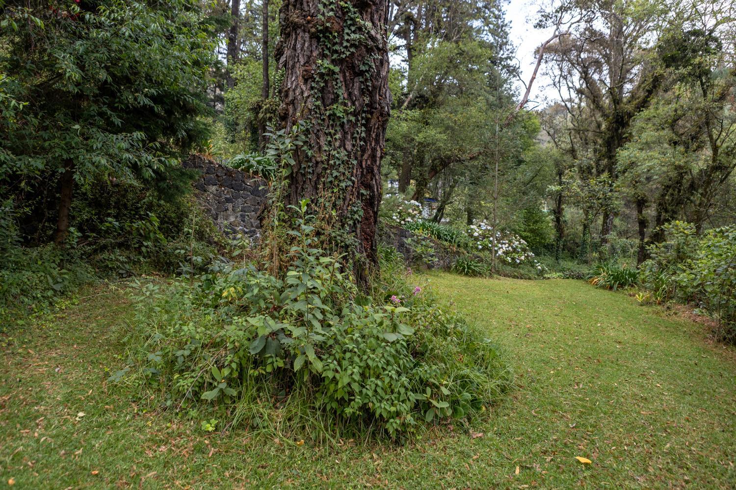 Photo 27