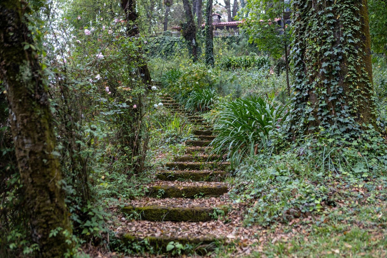 Photo 29