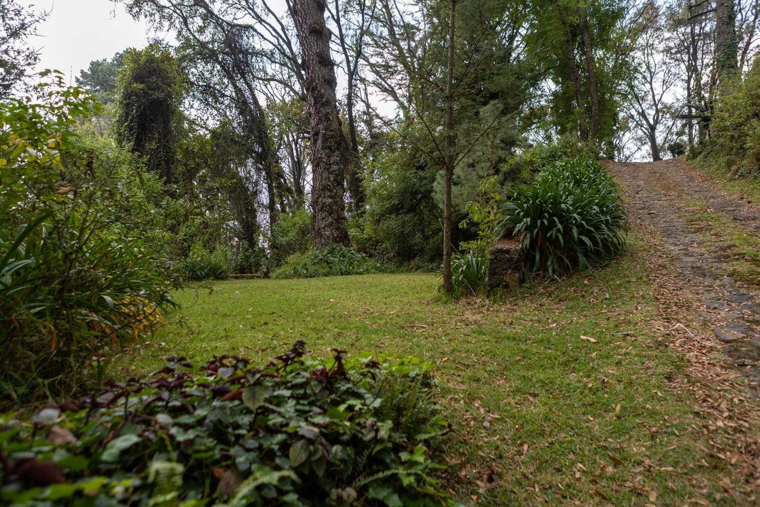 Photo 46