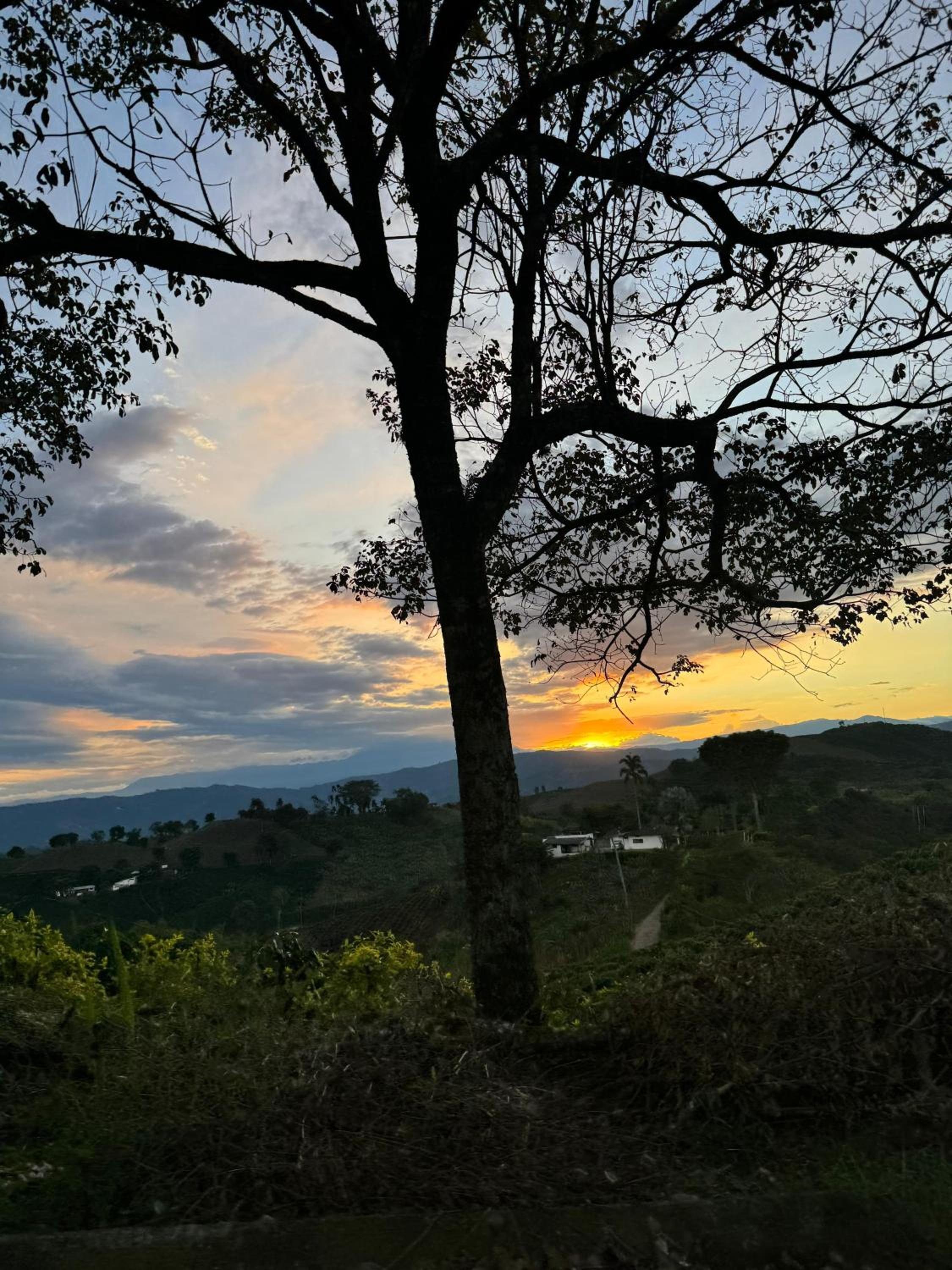 Alquiler Finca El Jazmin