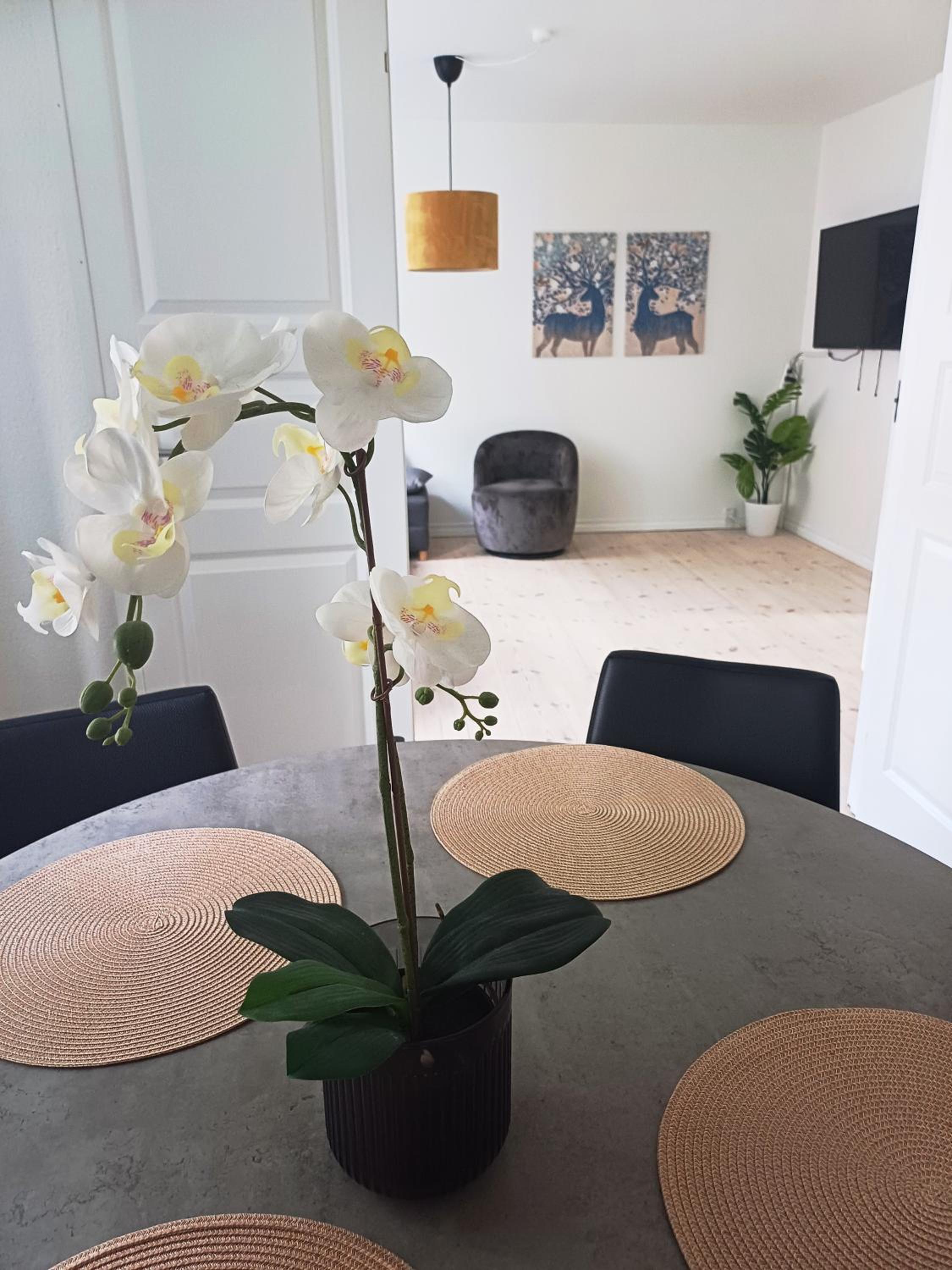 Apartment In The City With Free Parking