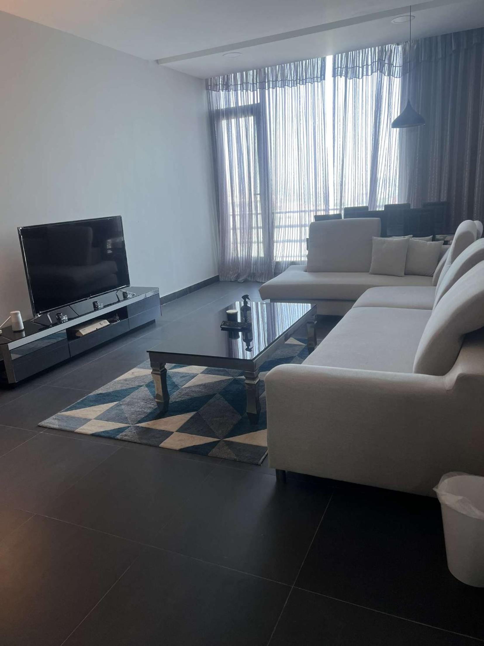 Modern Luxurious Apartment