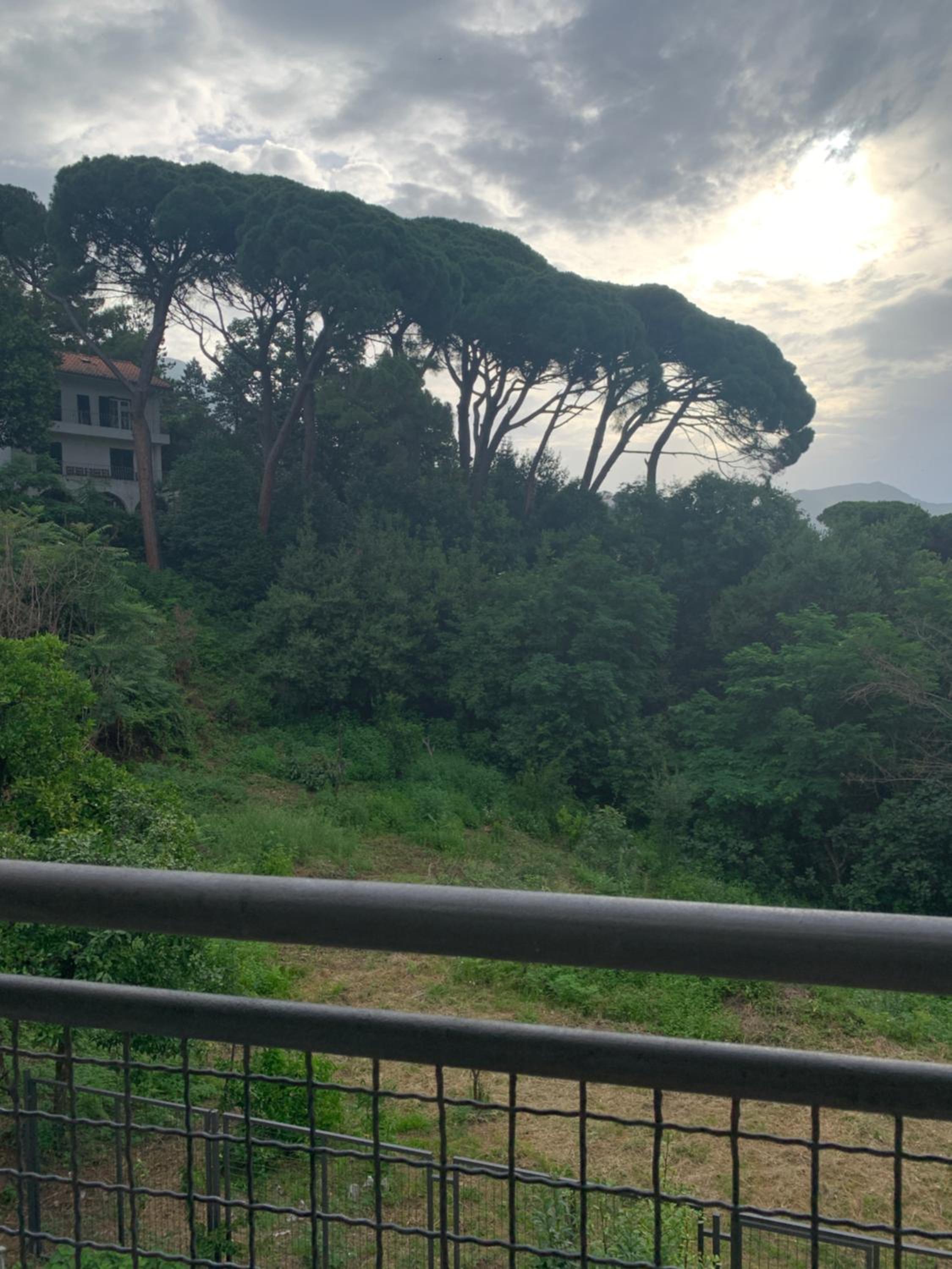 Villa Monte Boutique Apartments in Herceg Novi view 3