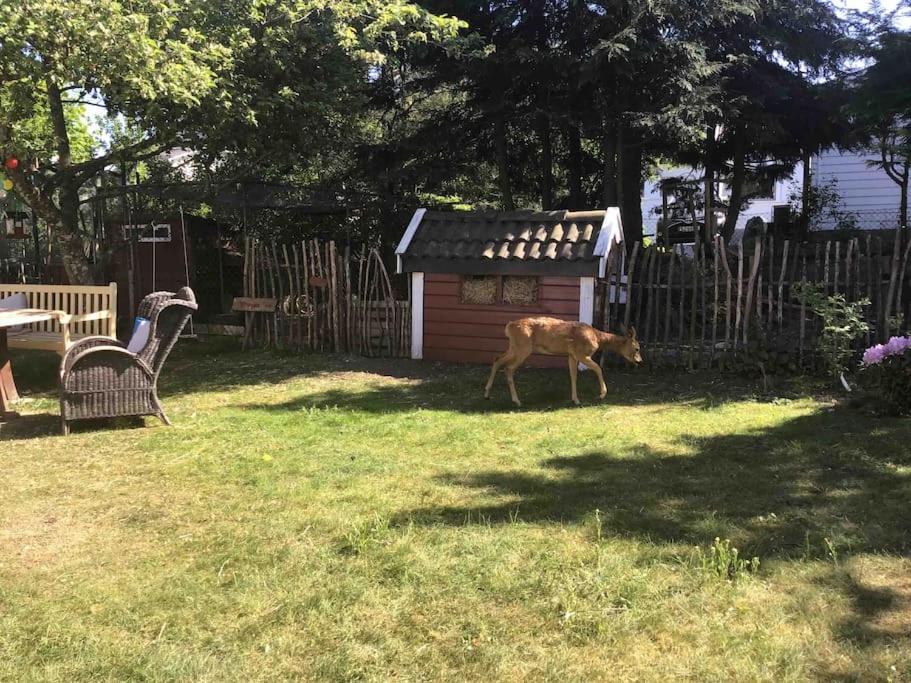 Familievennlig med hage og fjordutsikt
