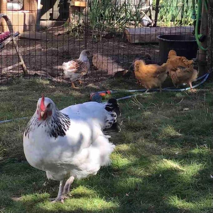 Familievennlig med hage og fjordutsikt