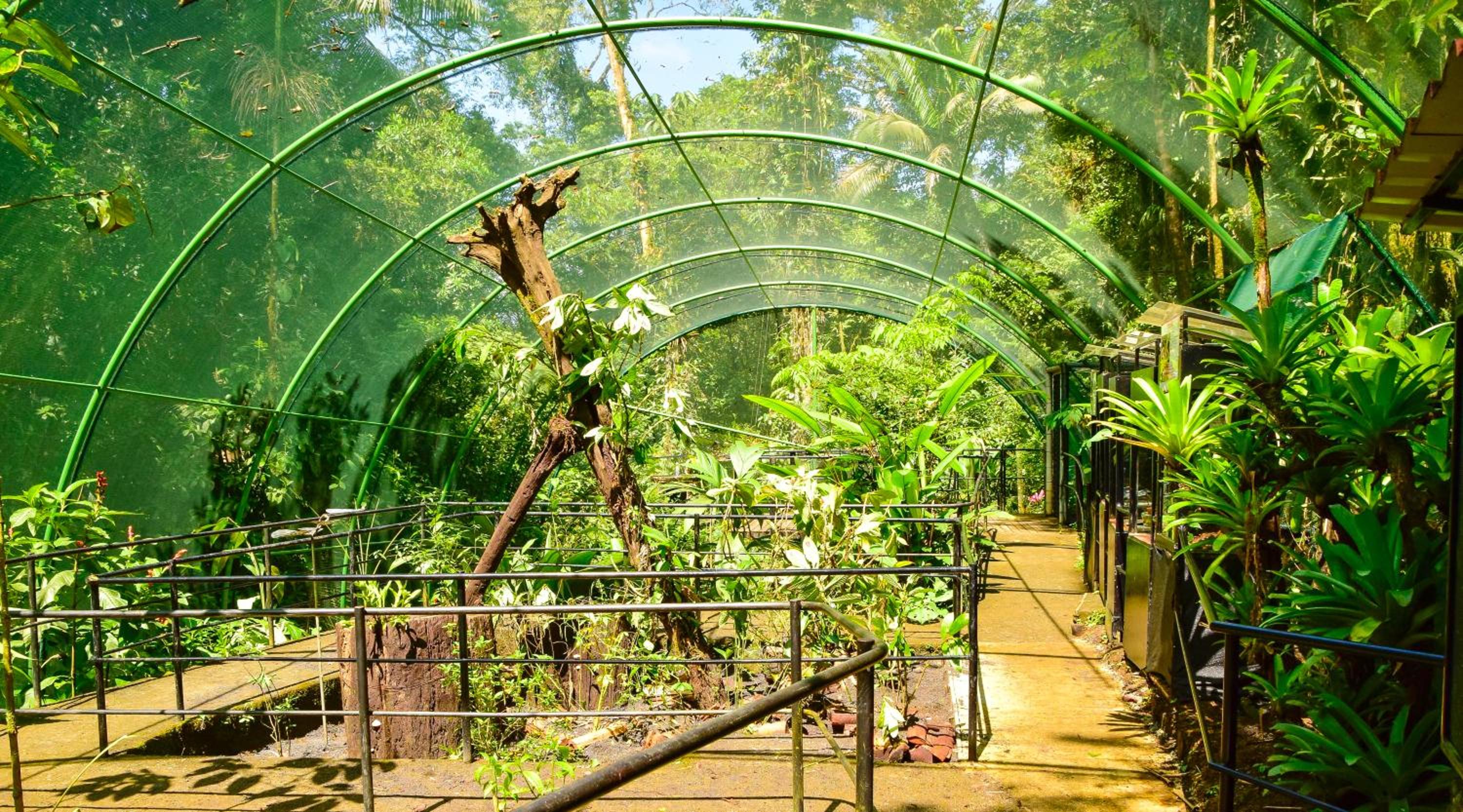 Tapirus Lodge and Reserve