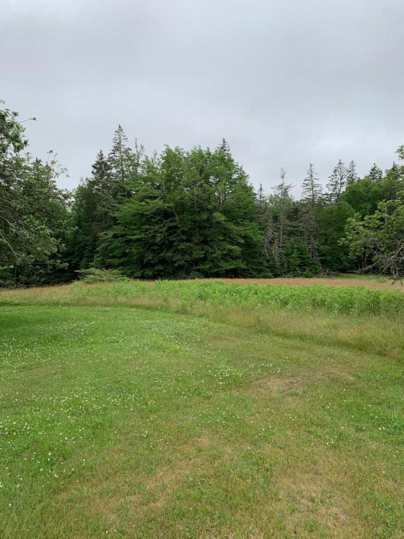 Meta Goldin FarmHouse - Meadow! view 4