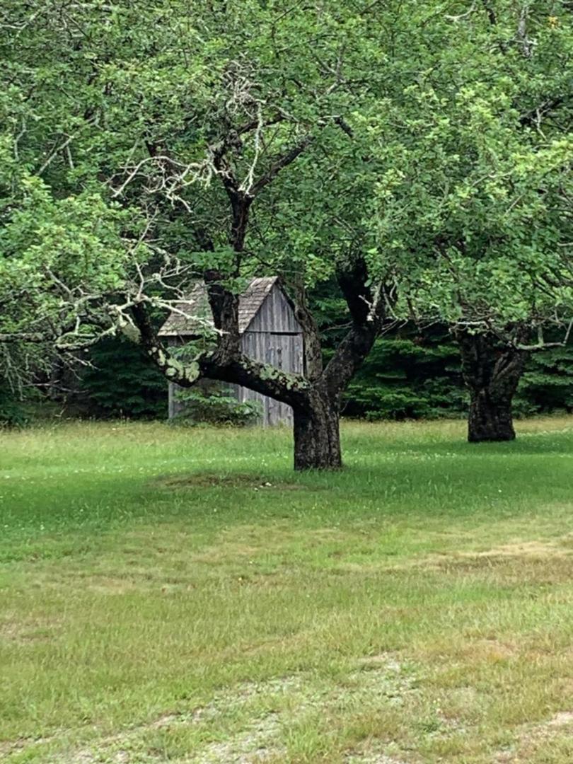 Meta Goldin FarmHouse - Meadow! view 5