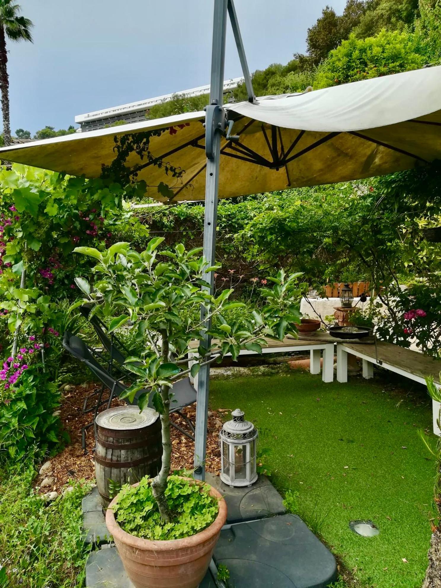 Villa Bellabé, photo 9