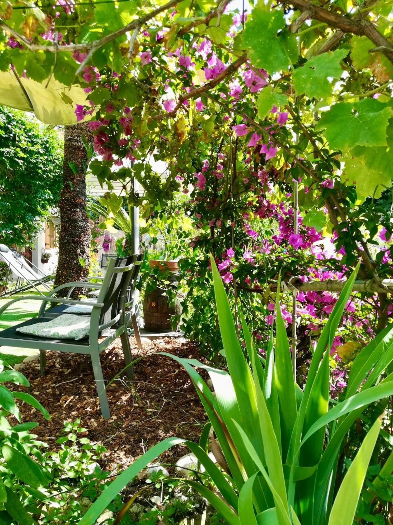 Villa Bellabé, photo 22