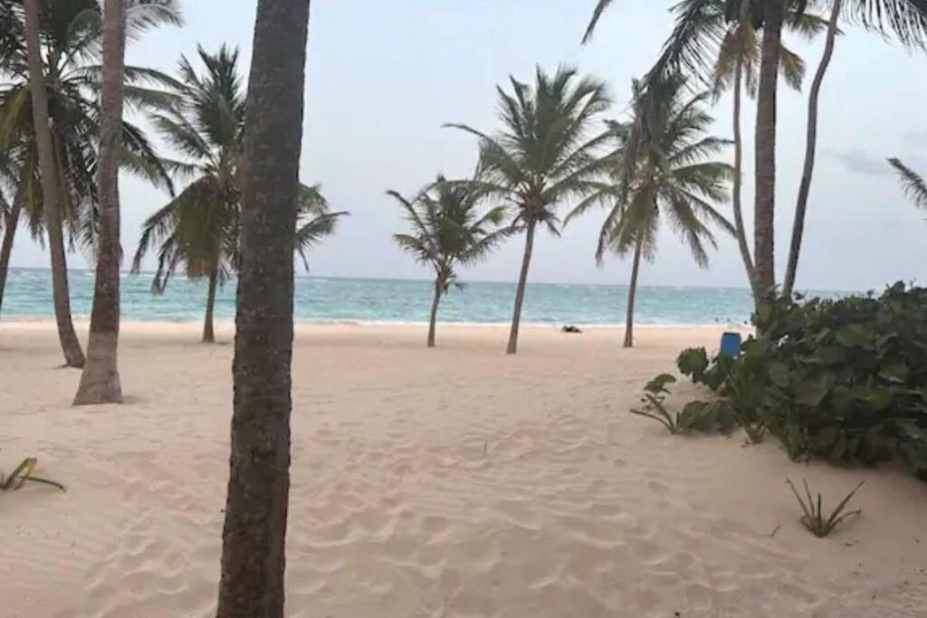 Tropical Princess White Sand