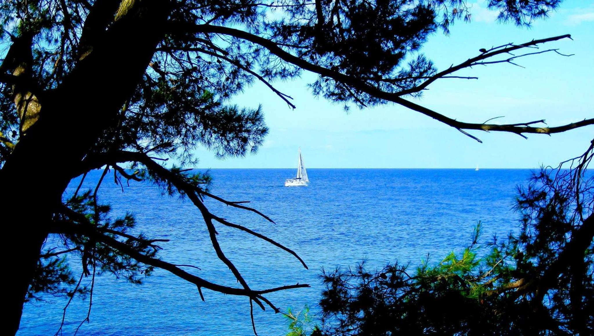 Villa Pietro enjoying the holiday view 5