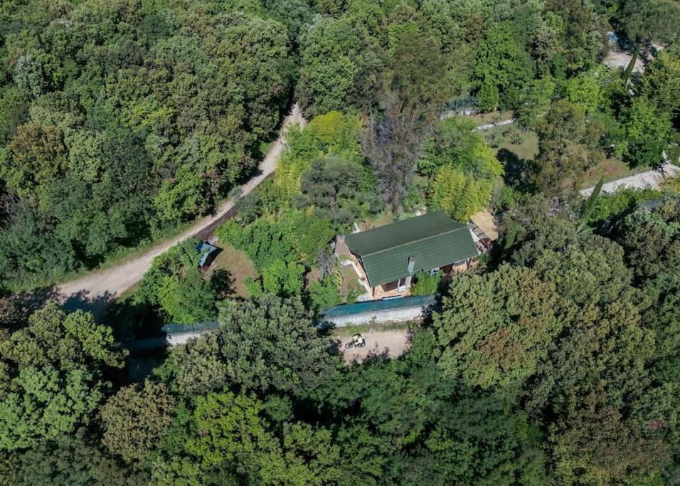 Hotel Pure Nature Haven By The Sea with Hot Tub - Image 1