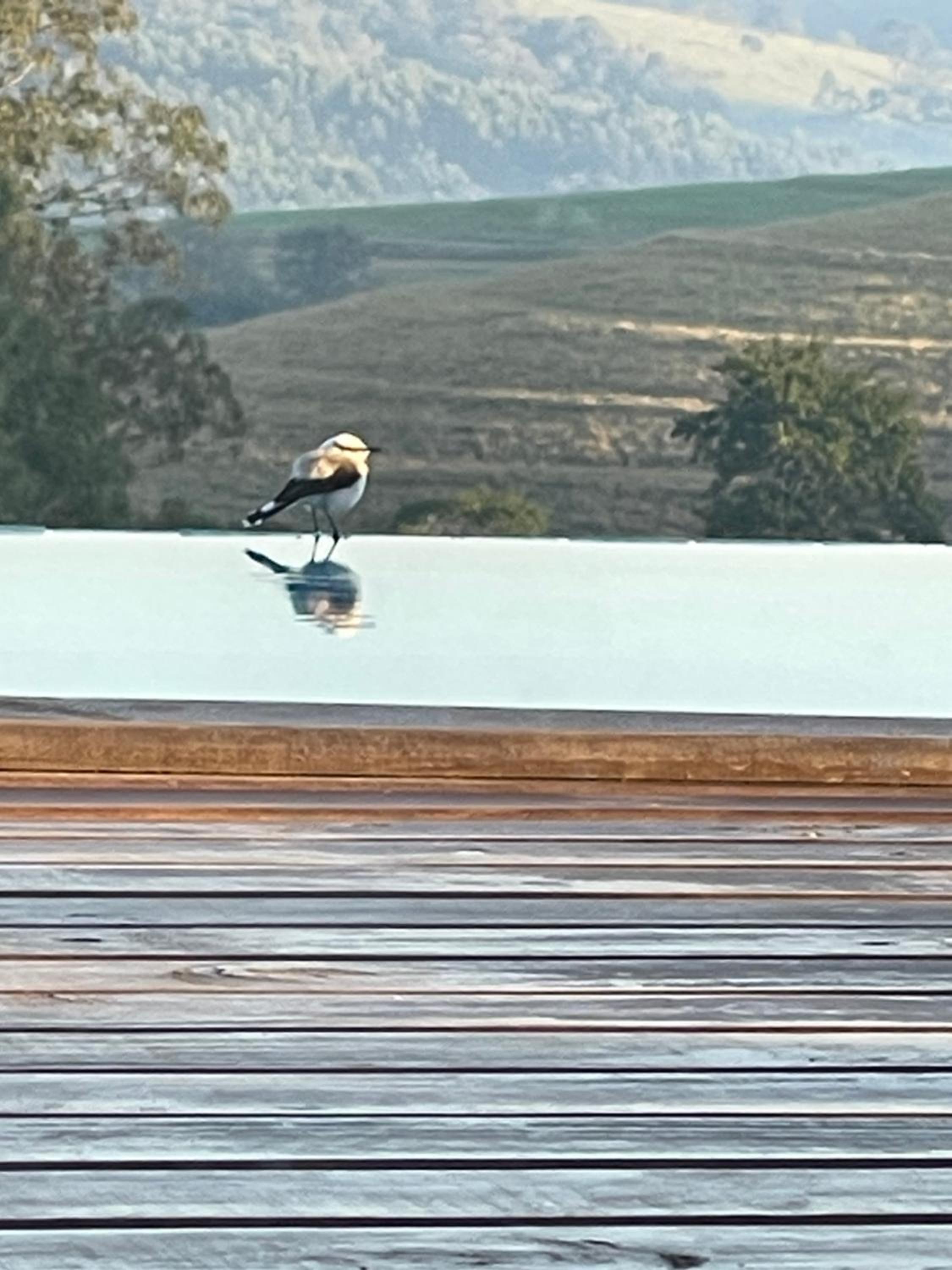 Chalé Paraíso Particular com Piscina Aquecida