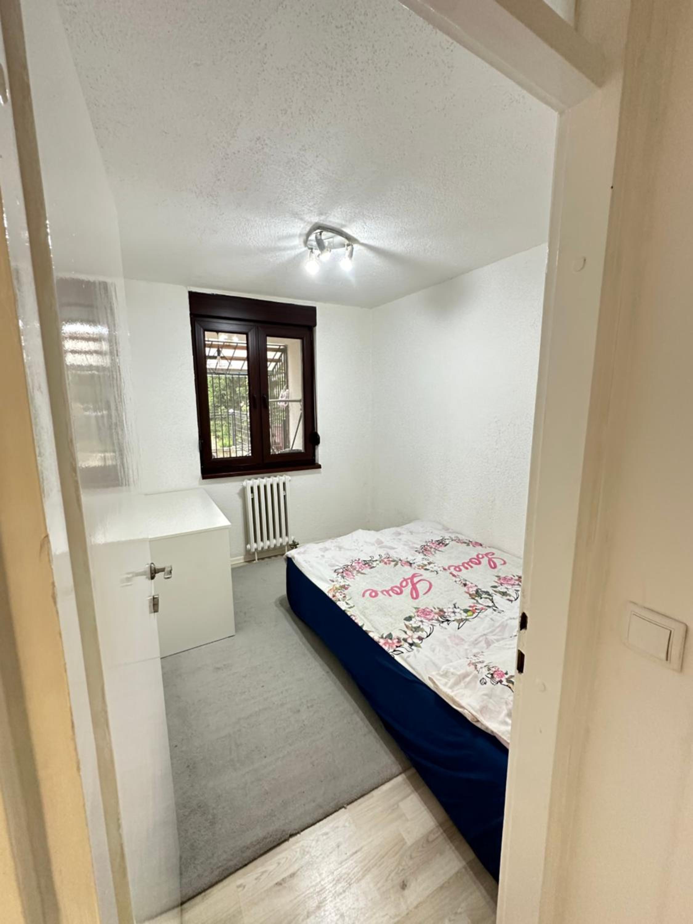Apartment Dedic with Garden