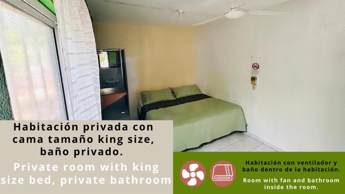 Hostal Pakal King view 3