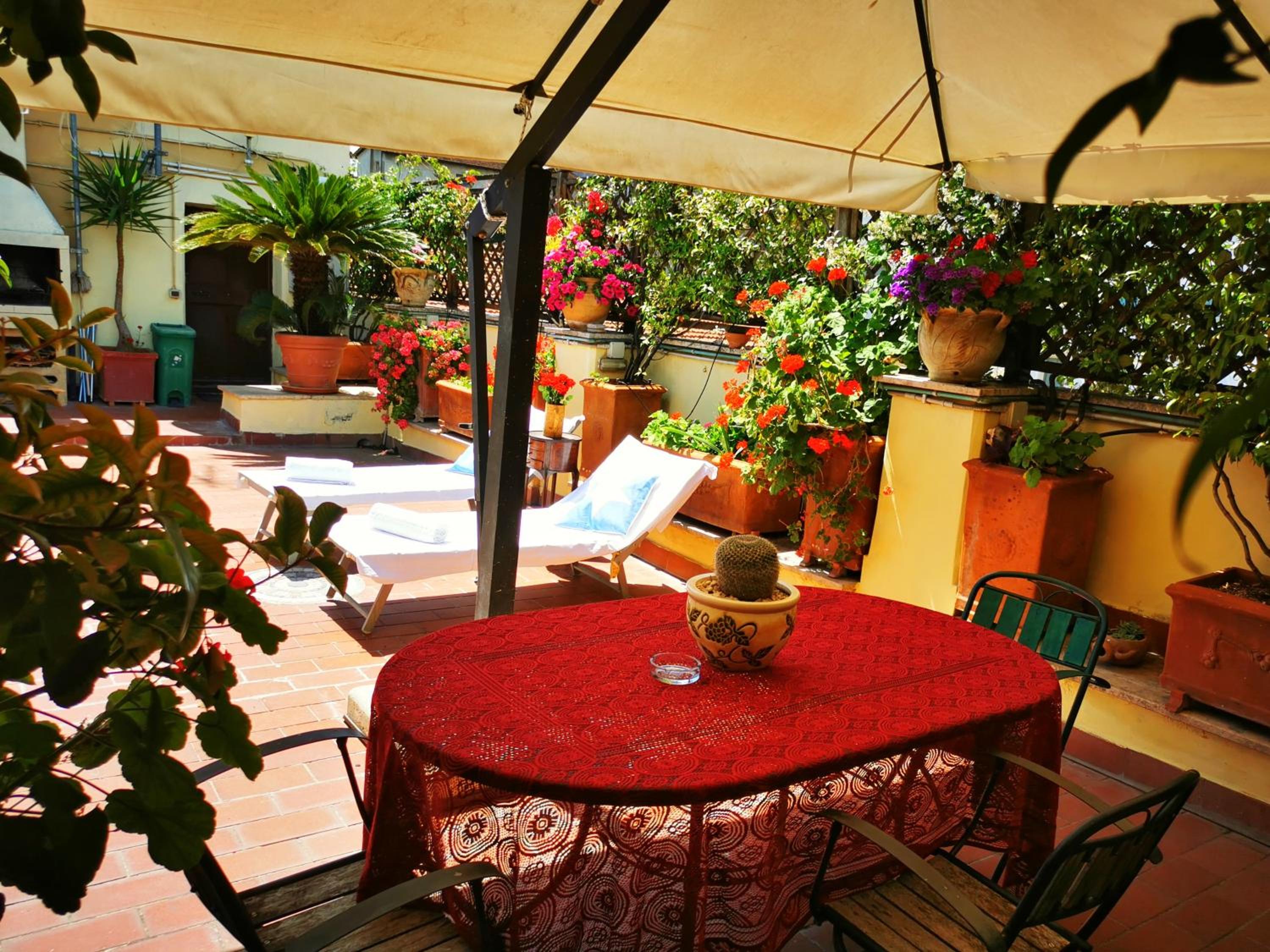 Attic Garden