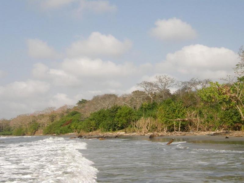 Pajarito Eco-Lodge frente al mar