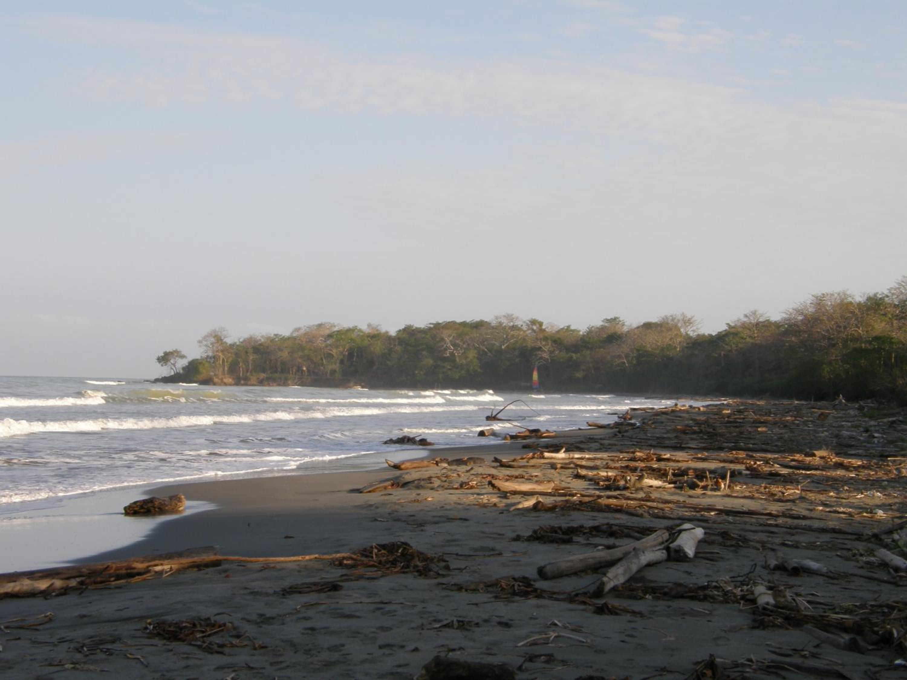 Pajarito Eco-Lodge frente al mar