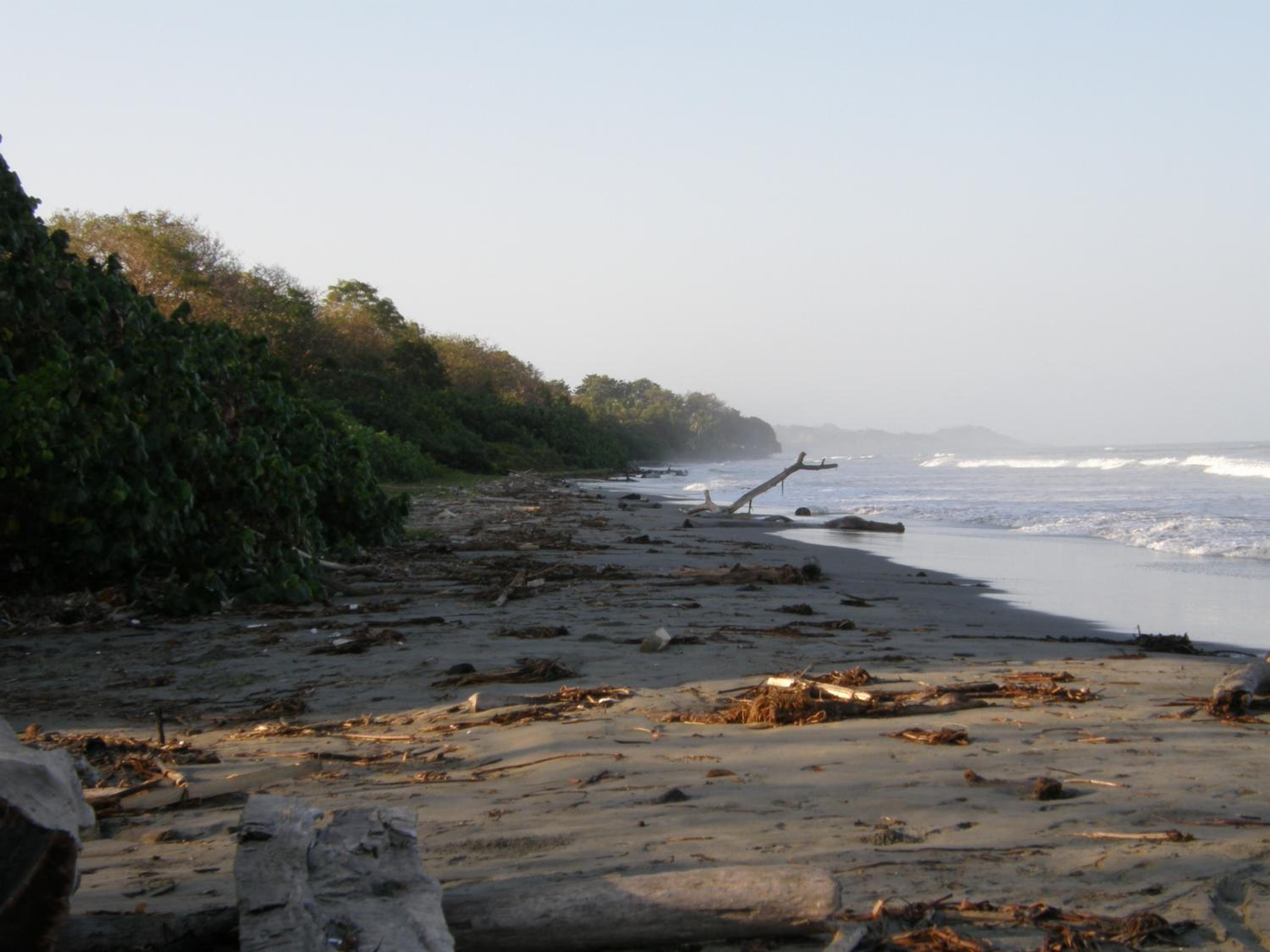 Pajarito Eco-Lodge frente al mar