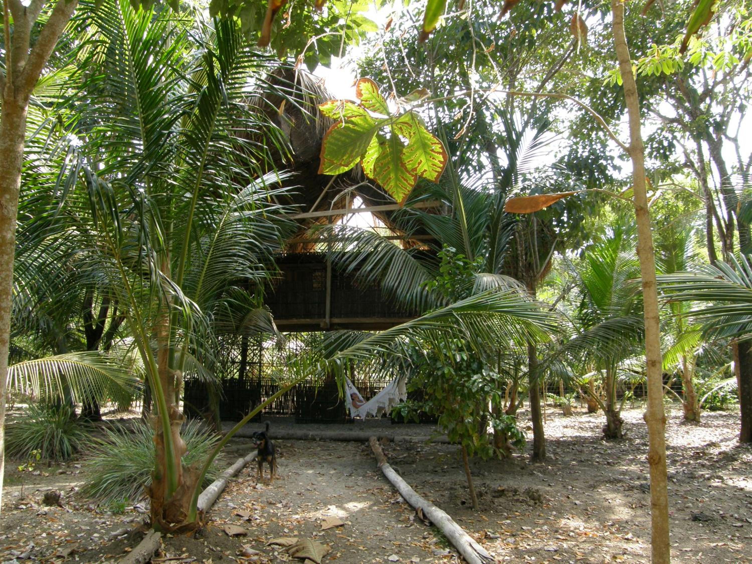 Pajarito Eco-Lodge frente al mar