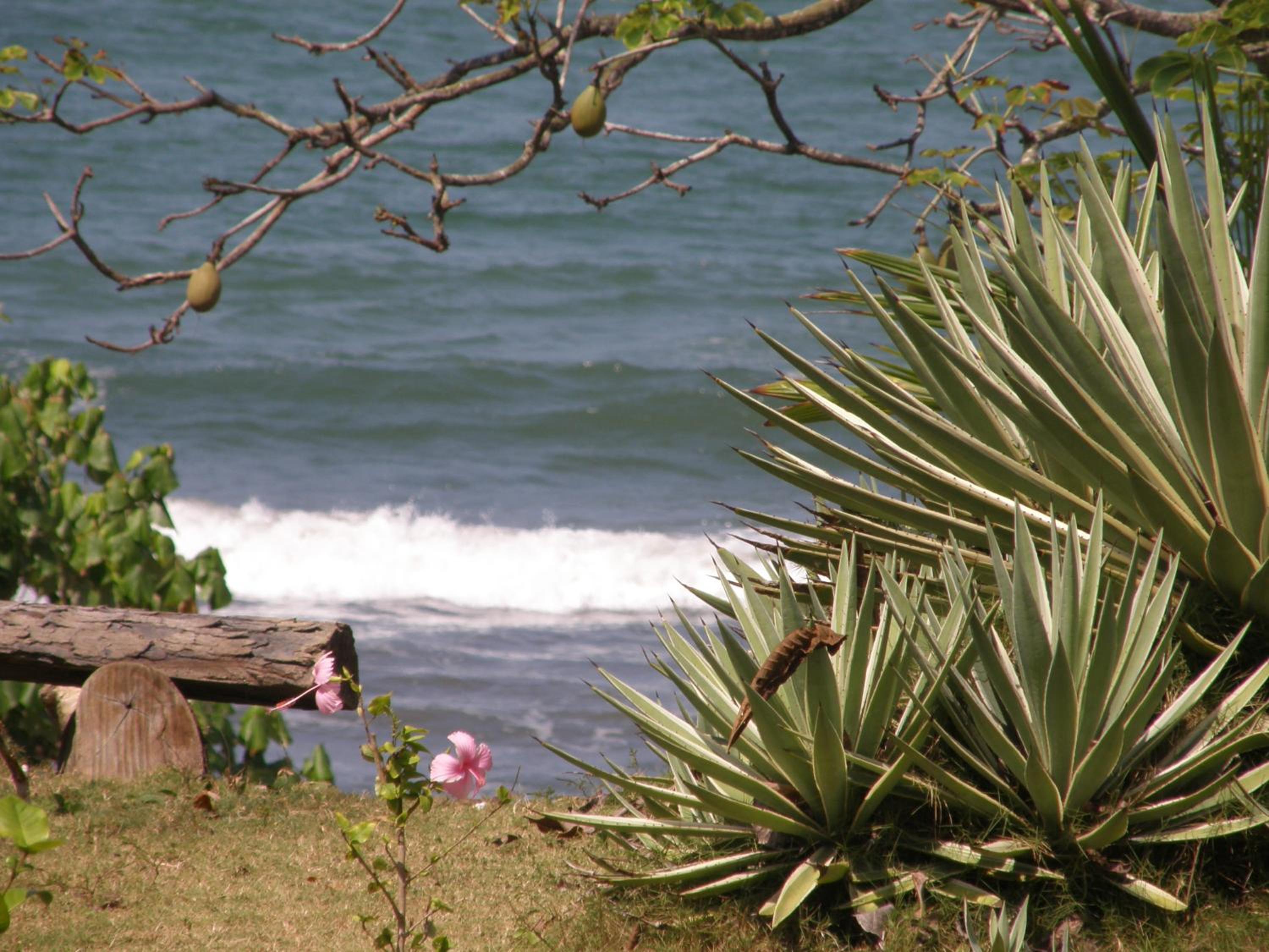 Pajarito Eco-Lodge frente al mar