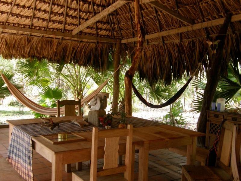 Pajarito Eco-Lodge frente al mar