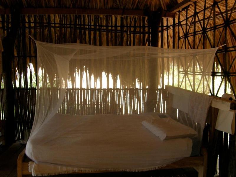 Pajarito Eco-Lodge frente al mar