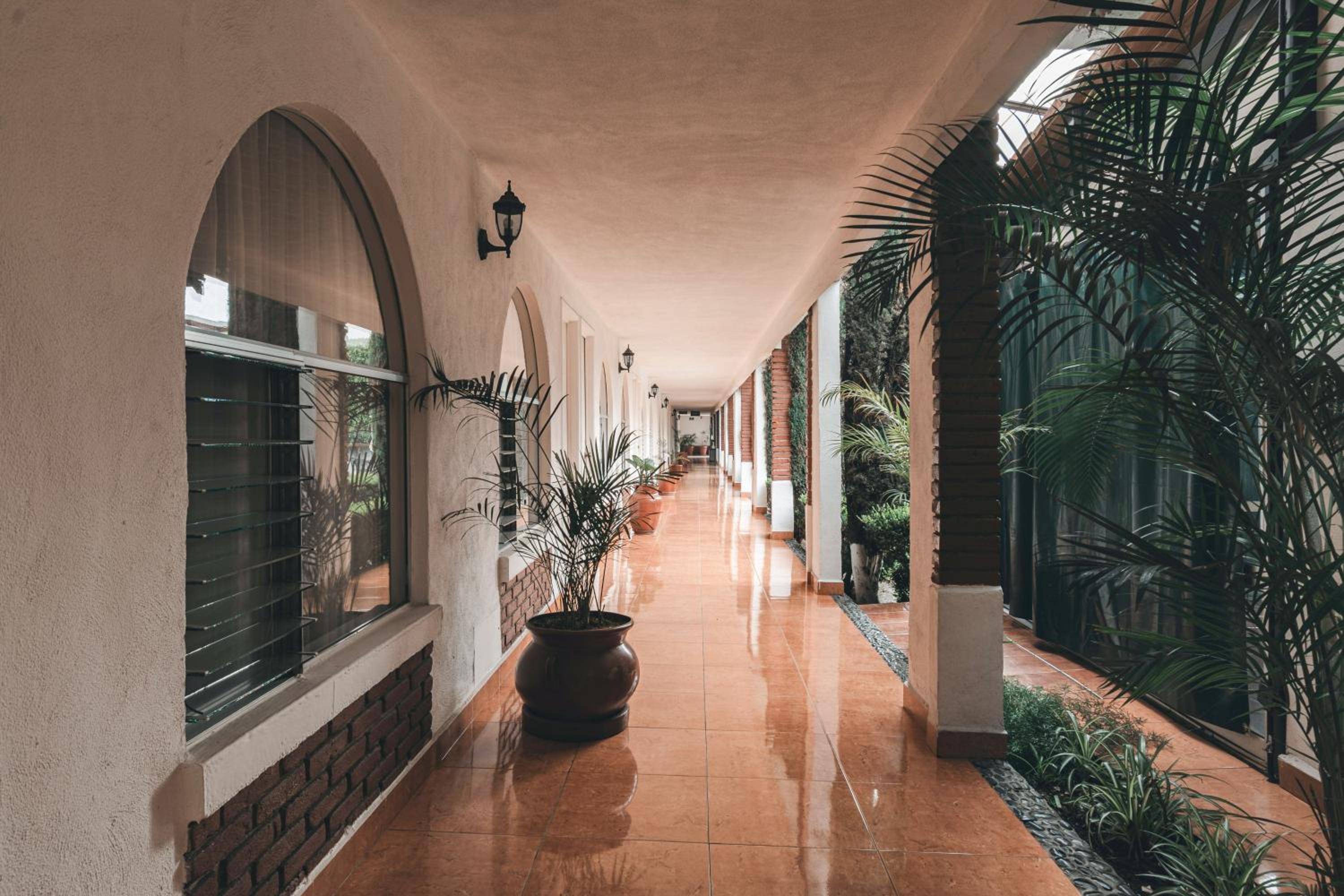 Hotel Suites Villa del Sol - Property Image 35