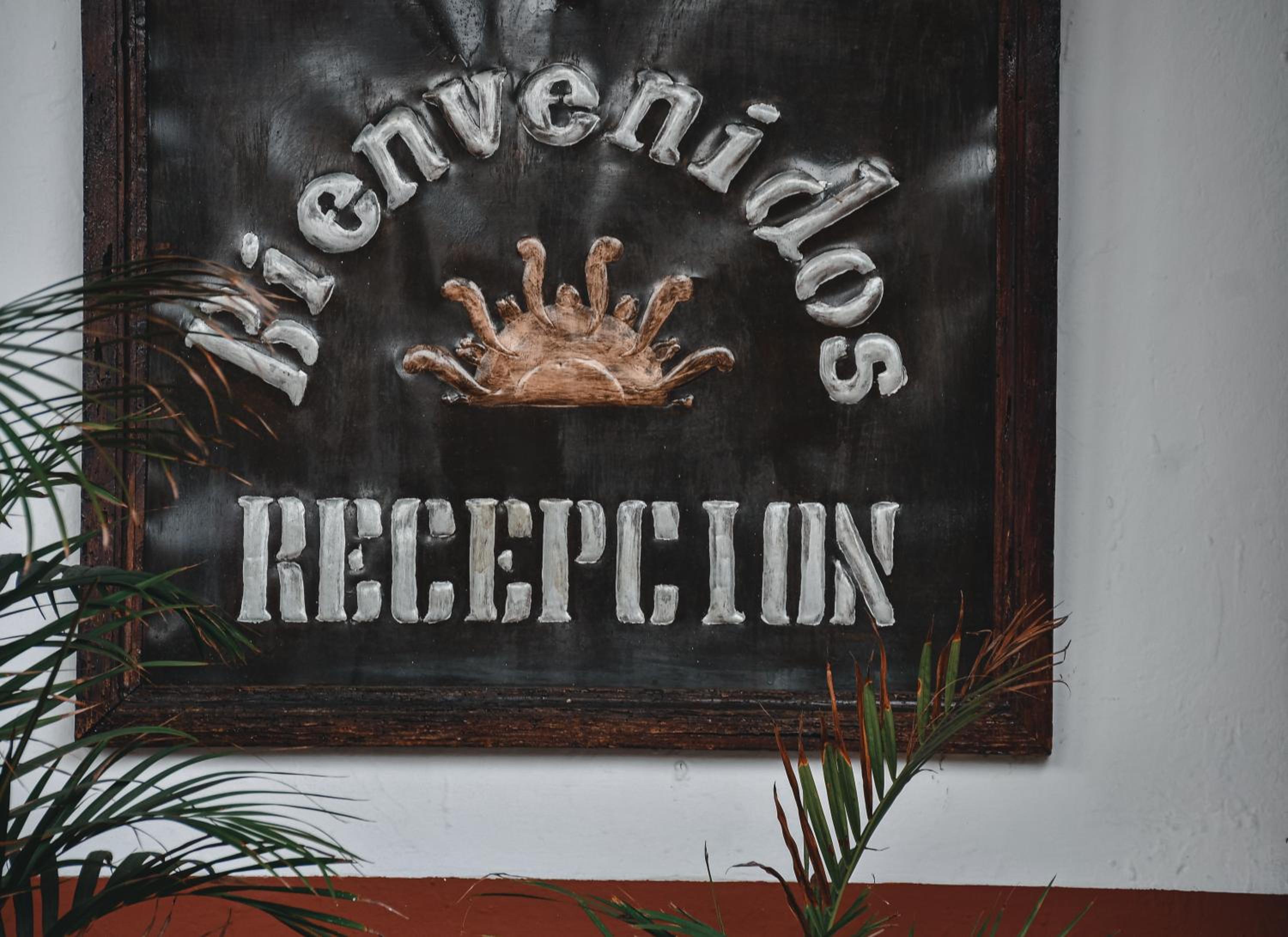 Hotel Suites Villa del Sol - Property Image 37