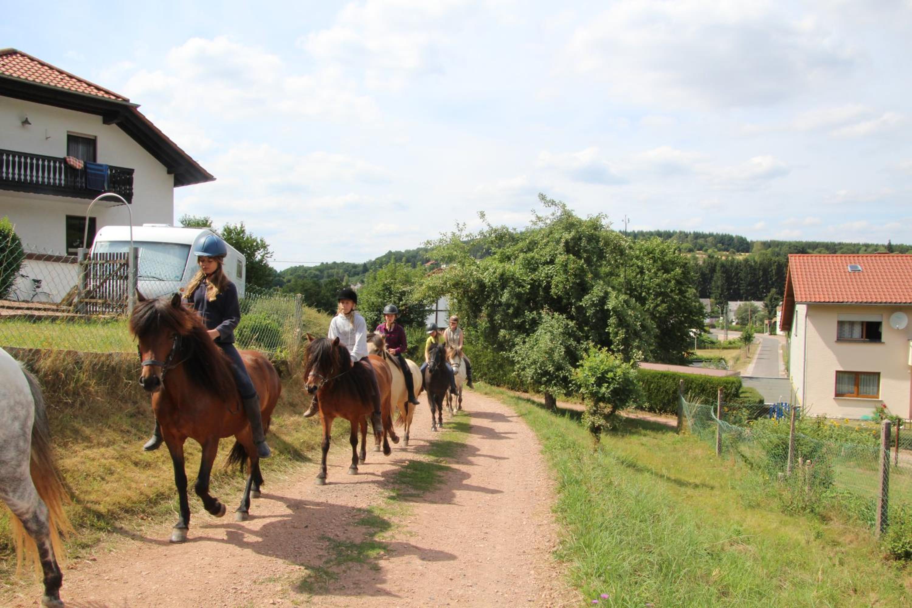 Ferienwohnung Schwarzhof- Hahnekräh am Bostalsee, helle 75 qm & hundefreundlich