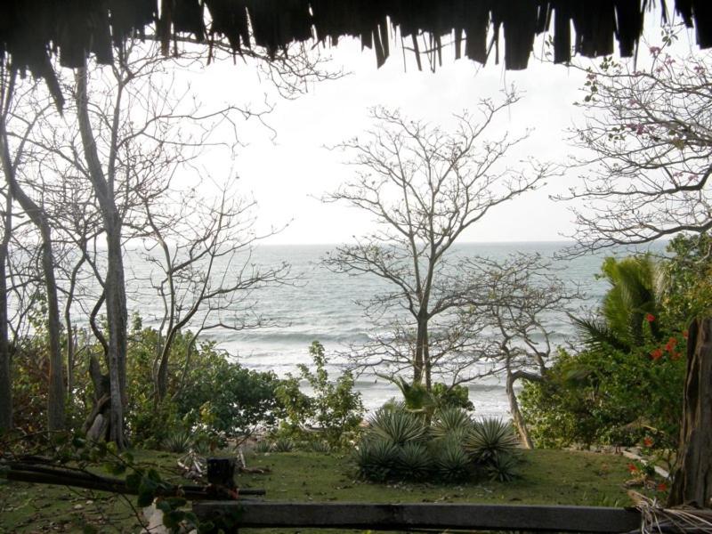 Pajarito Eco-Lodge frente al mar