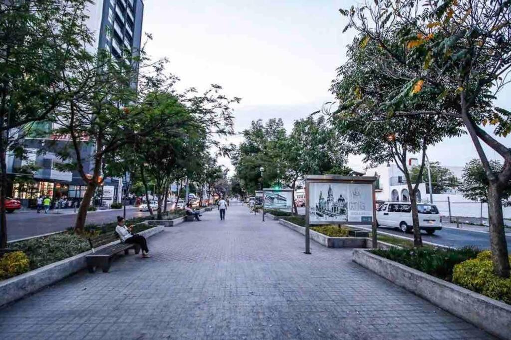 Luxury Chapultepec Apartment
