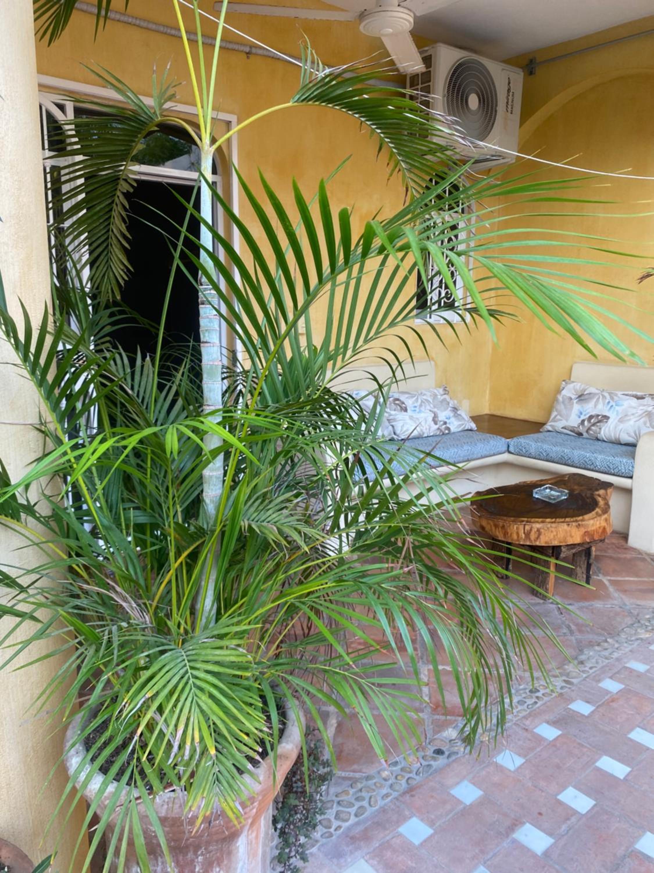 Cielito Lindo Suites