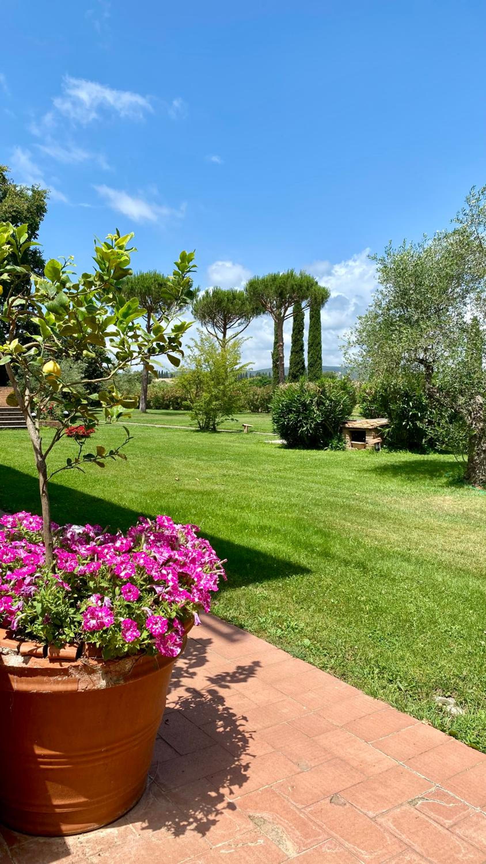 Fattoria Cirene view 3