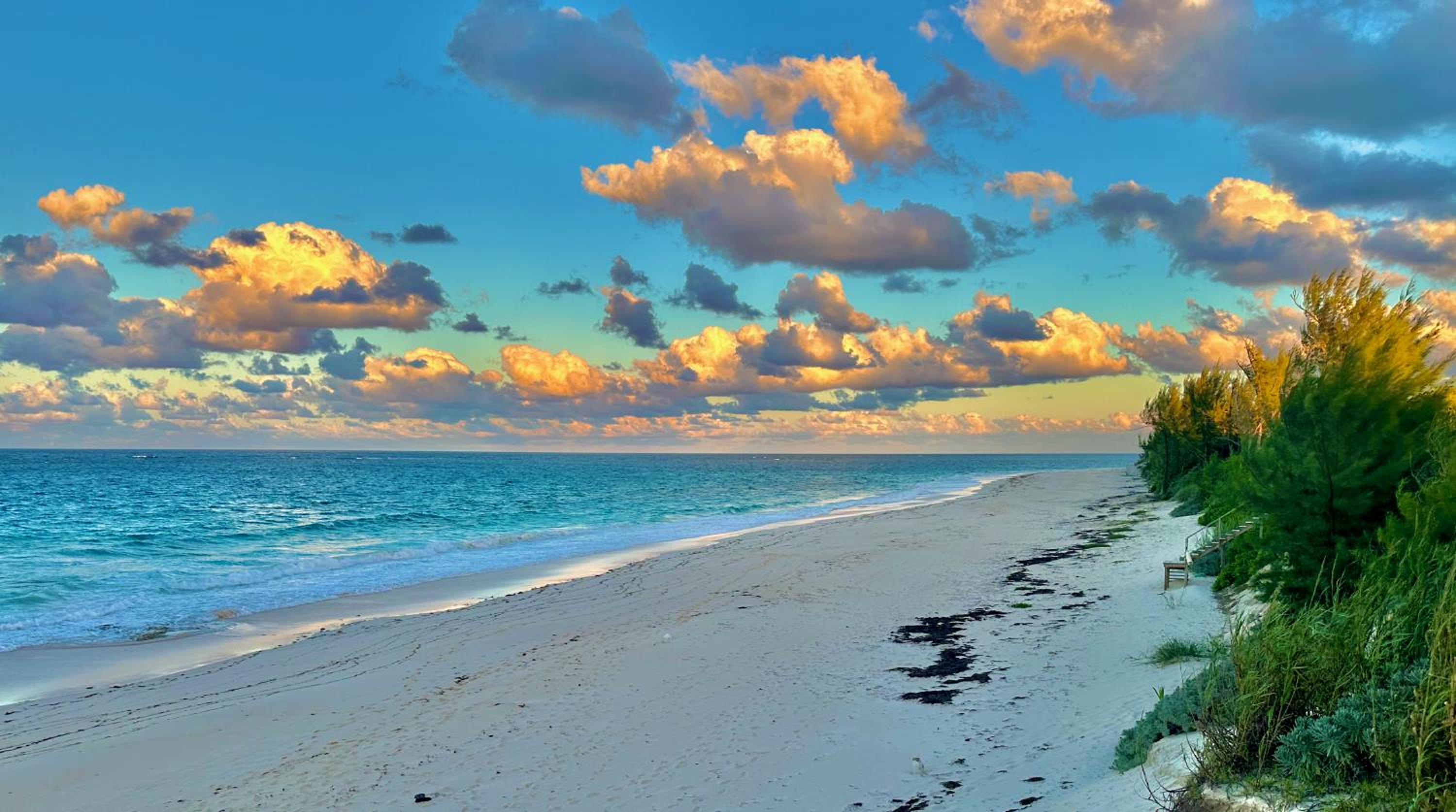 Sea Salt Bahamas on Great Guana Cay