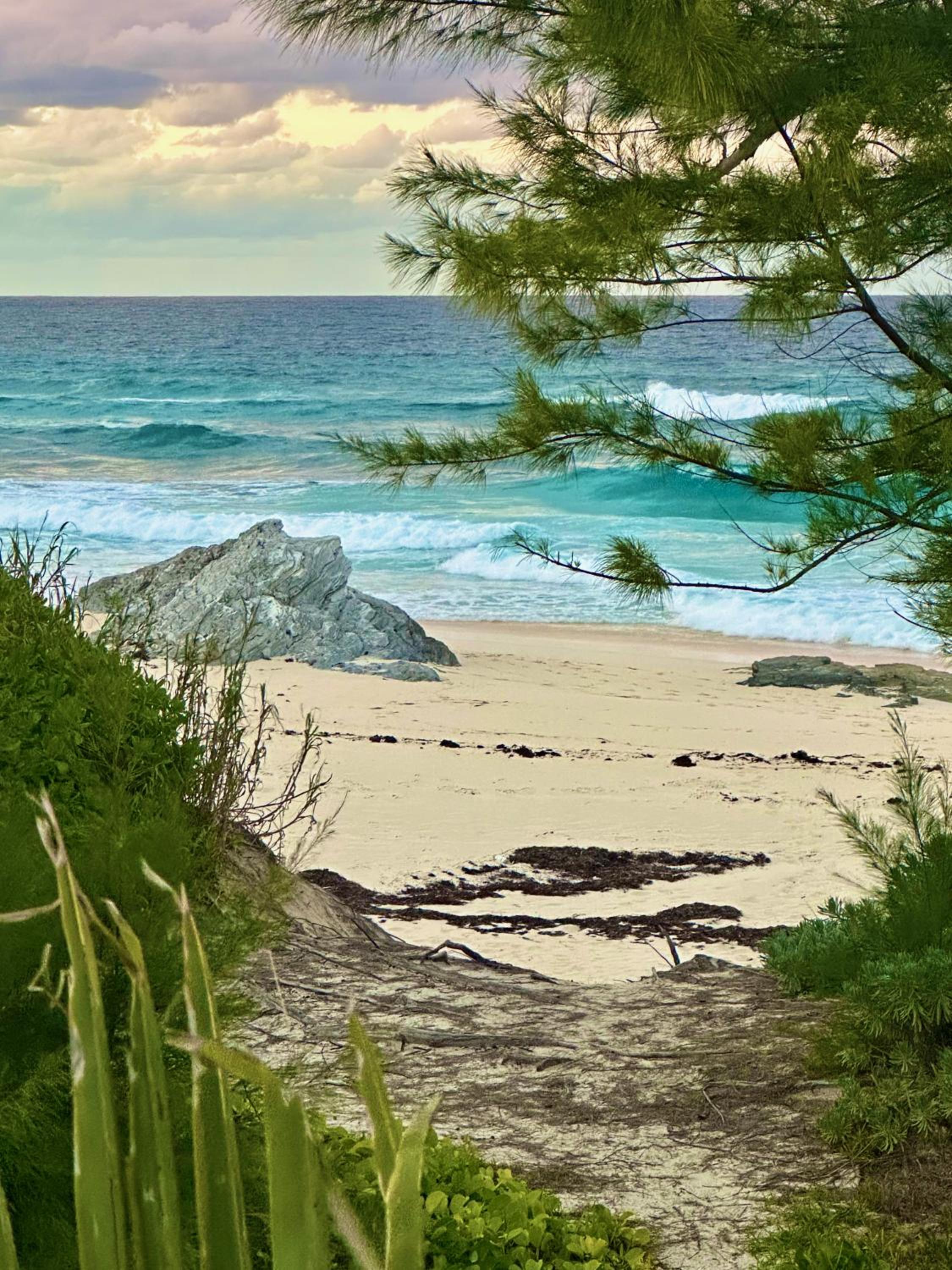 Sea Salt Bahamas on Great Guana Cay