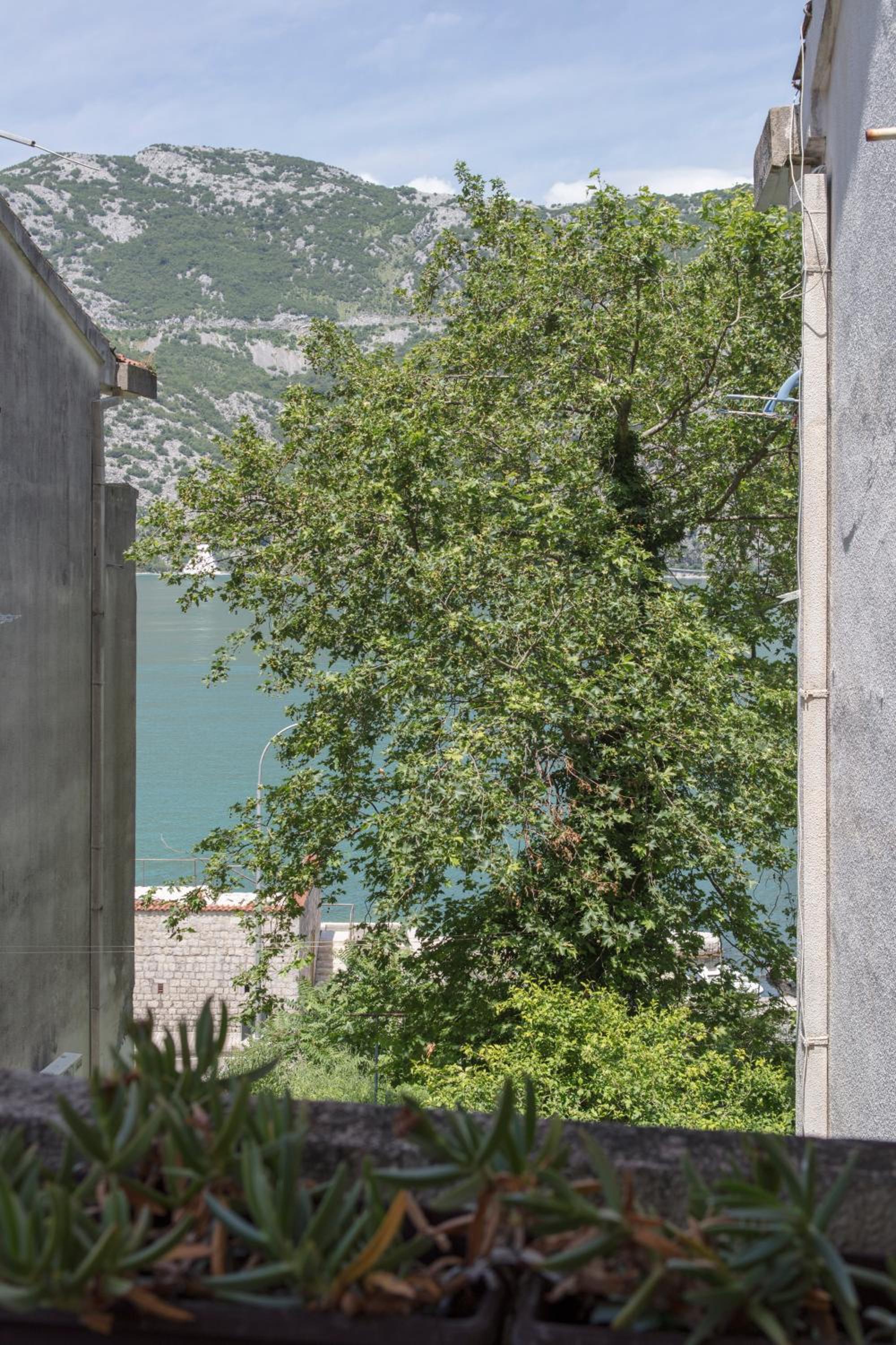 Apartman Andrea
