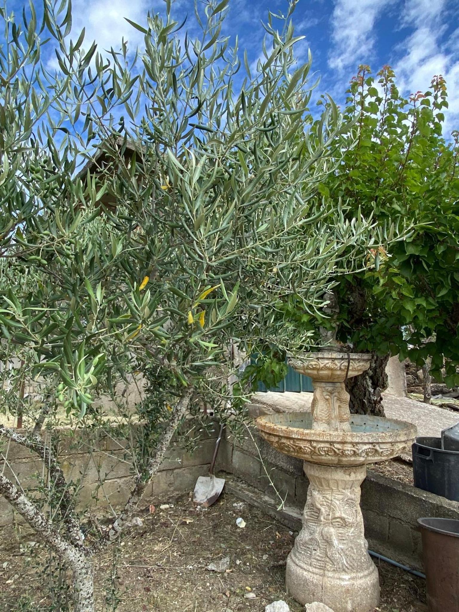 Photo 34