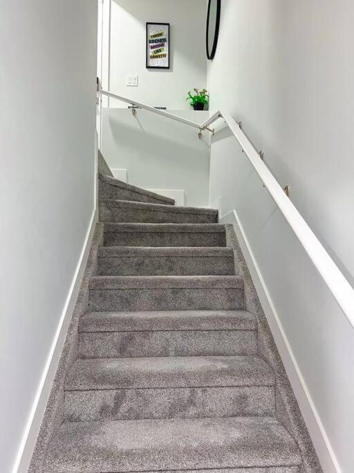 Guest Suite in SouthWest Edmonton