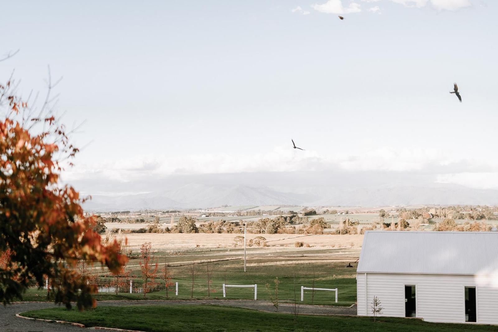 The Barn Yarra Valley
