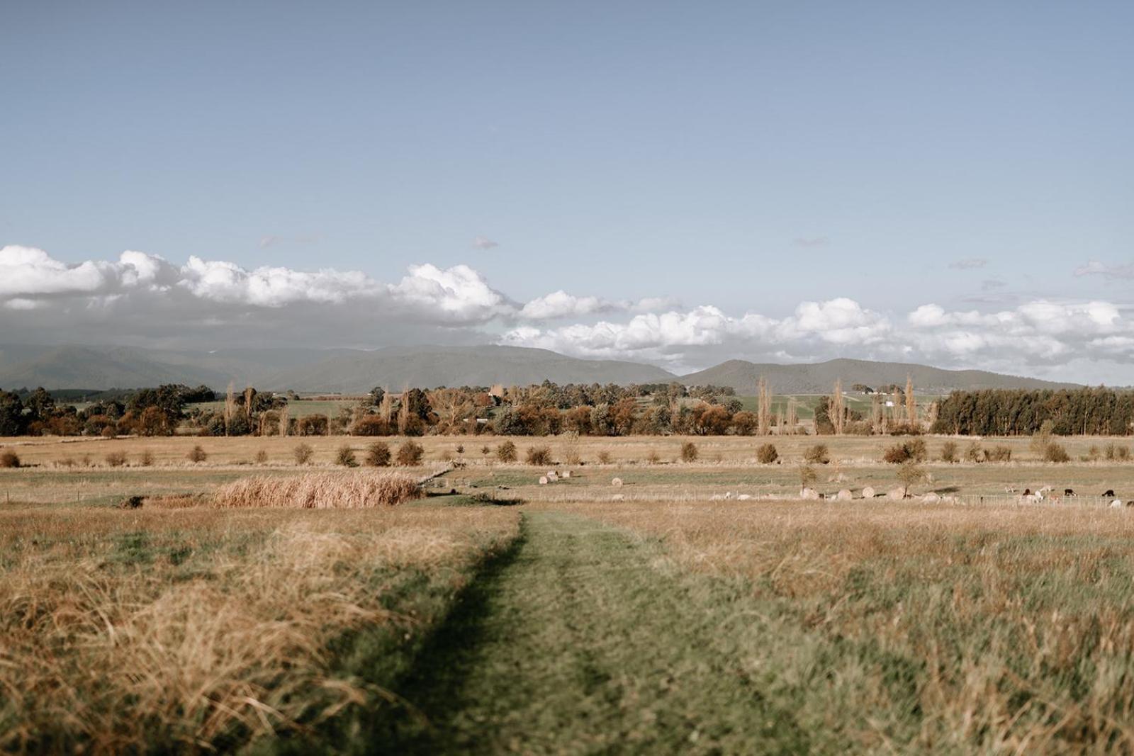 The Barn Yarra Valley