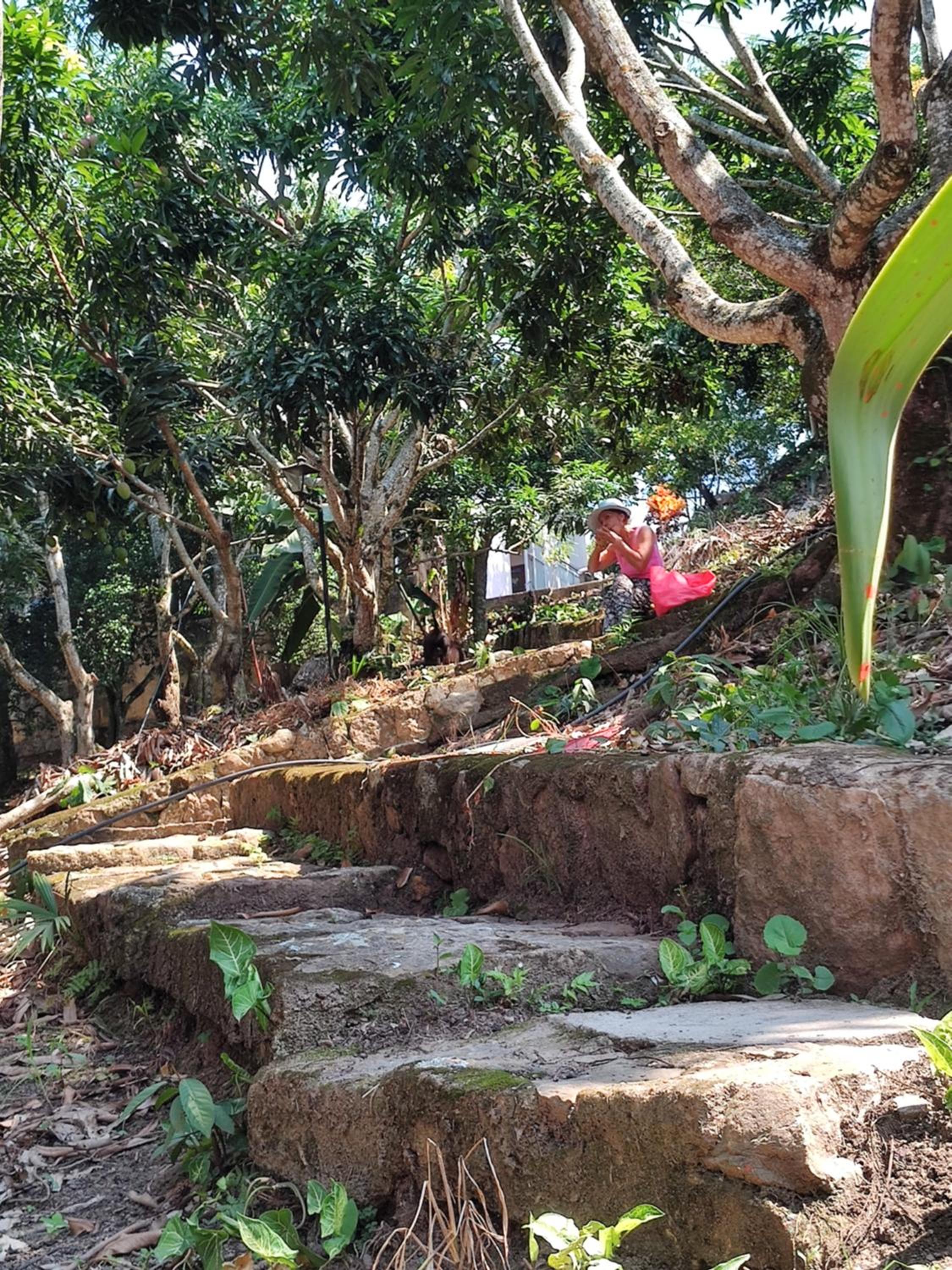 Finca El Paraíso