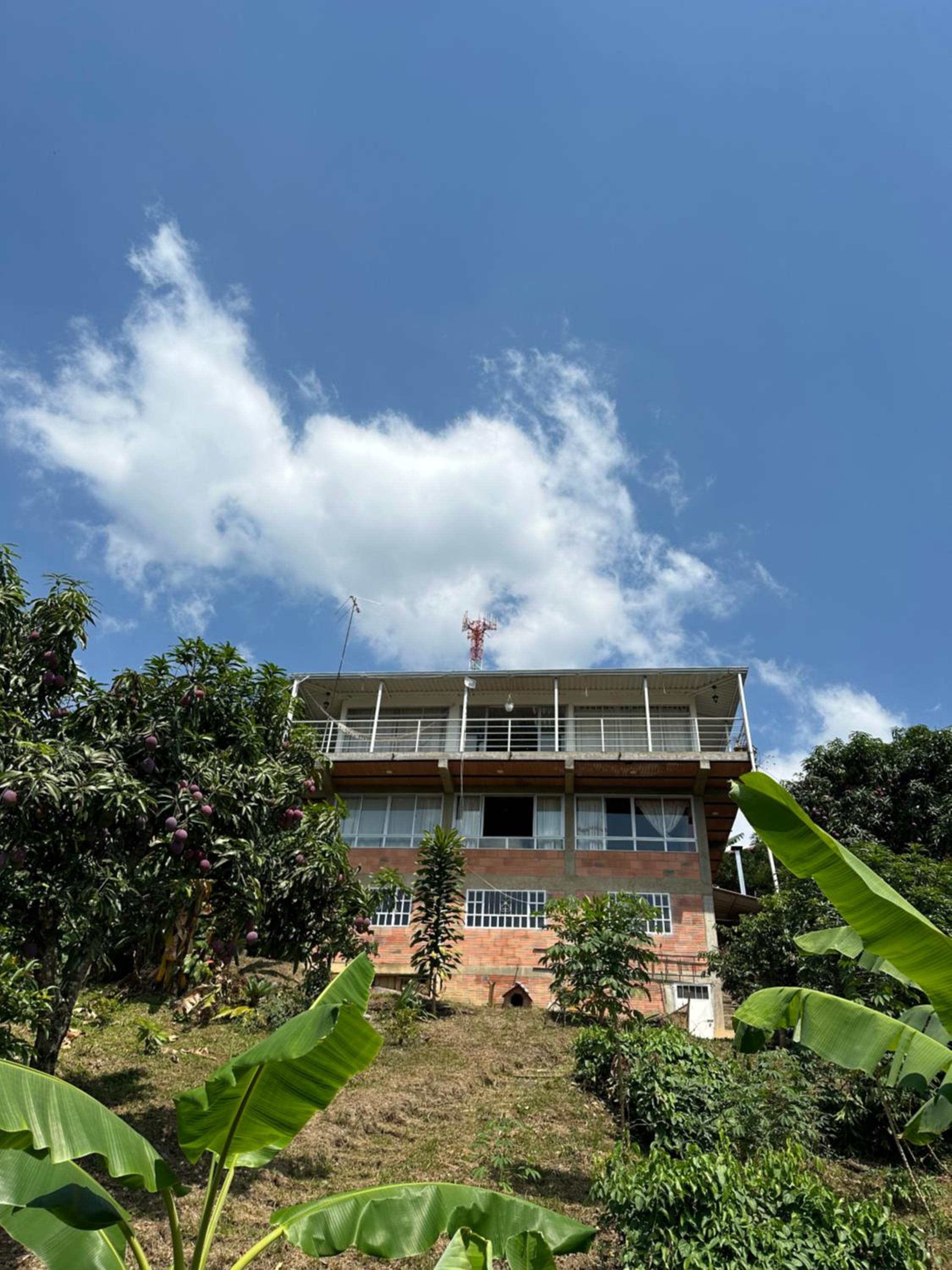Finca las marias