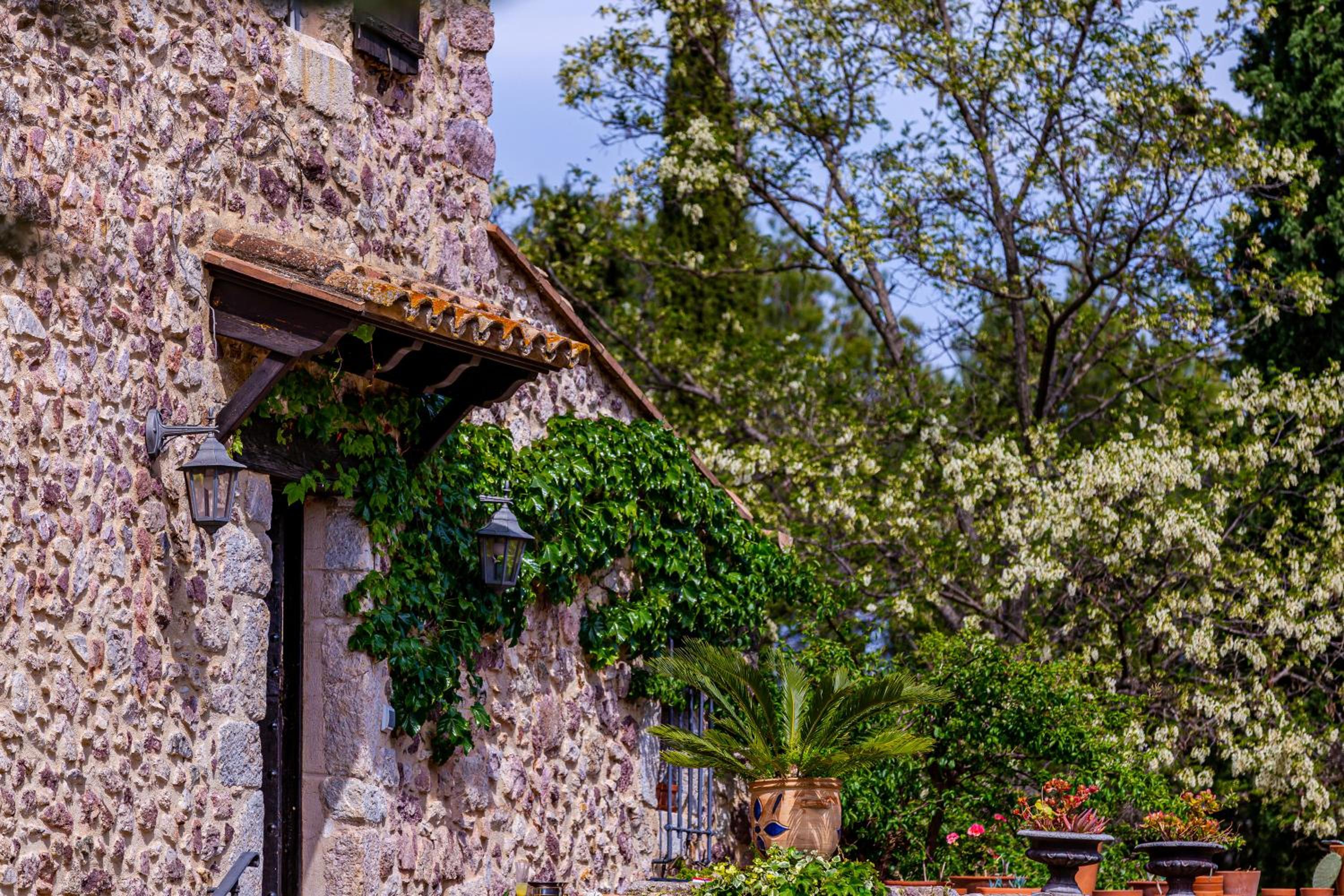 Masia Mimosa Jardin