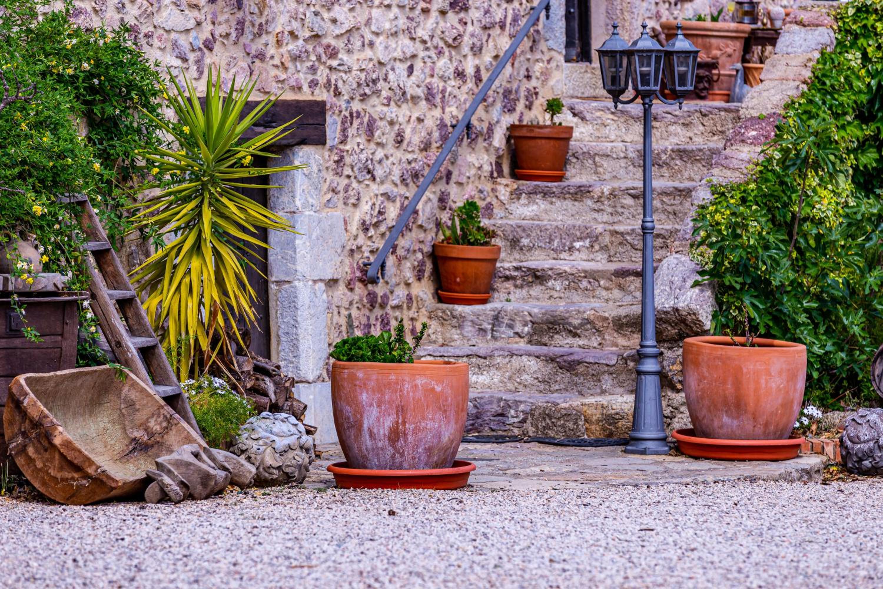 Masia Mimosa Jardin