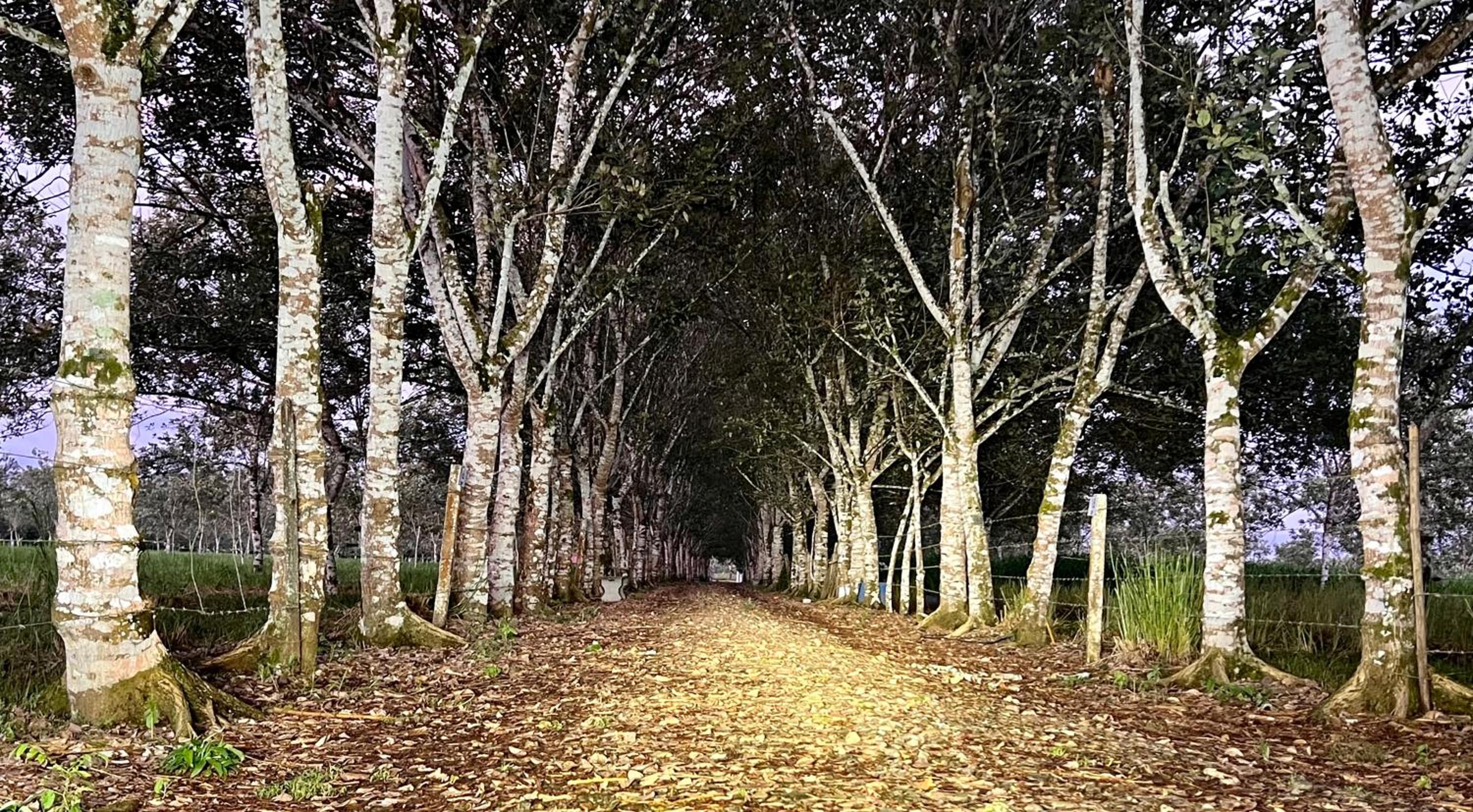 La Granja Eco Lodge