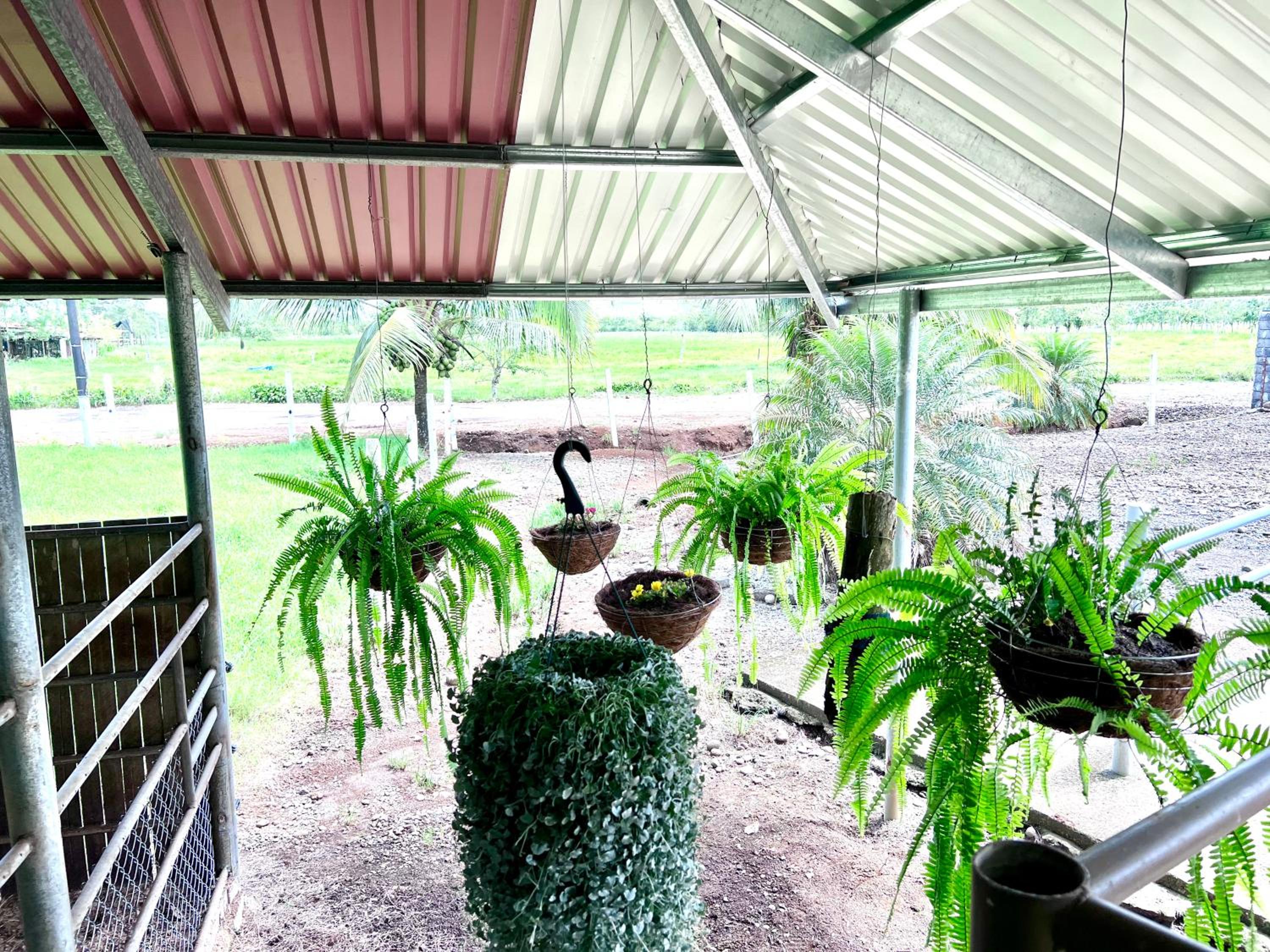 La Granja Eco Lodge