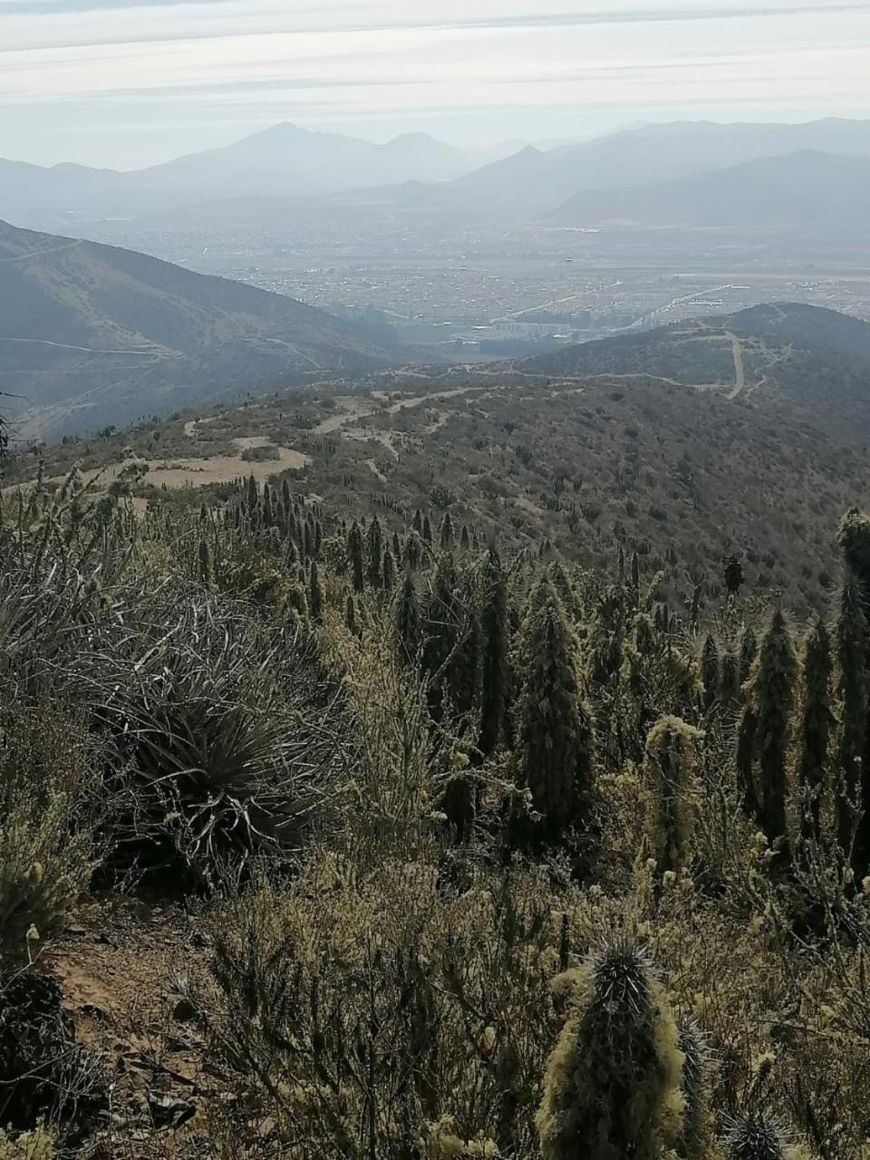La Serena Casa Cabaña de campo entre cactus y colibríes